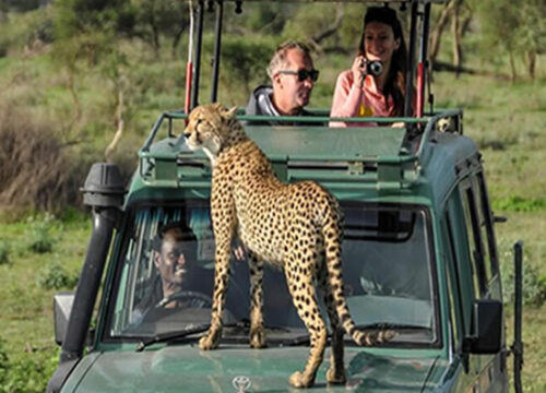 4 Days Wildebeest Migration Safari