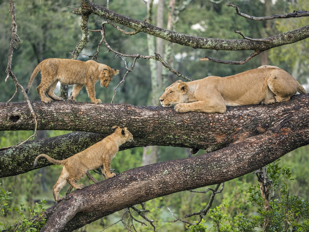 Lake Manyara
